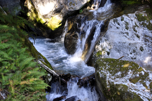 lower part of Ladder Creek Falls